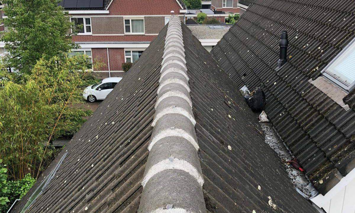 Nokvorsten Katwijk